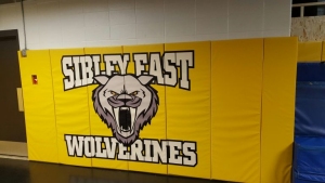 Gym & Wrestling Room Wall Padding