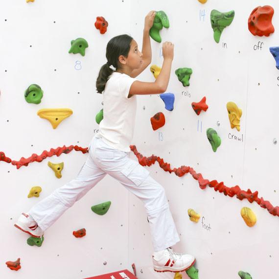 Discovery Dry Erase Climbing Wall